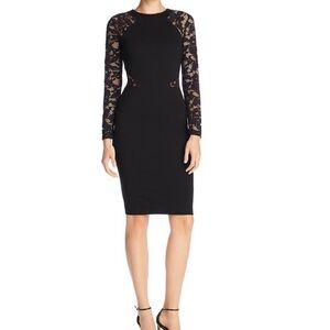 Elegant Black Lace Sleeve Dress
